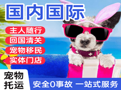 菏泽牡丹机场邮寄国际宠物托运 【国